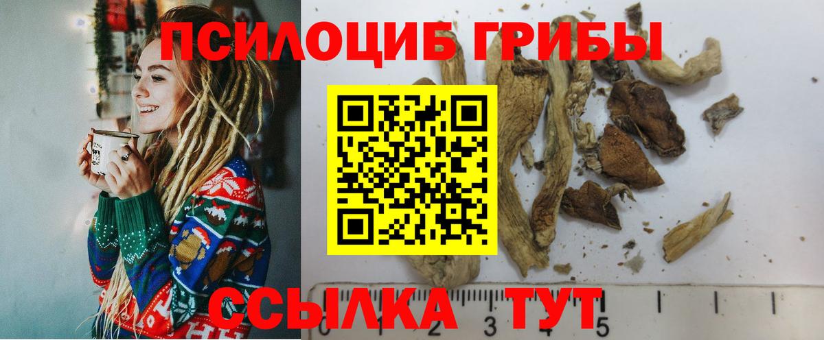 сколько стоит  Псилоцибиновые грибы мицелий  Вход с VPN  Карасук 